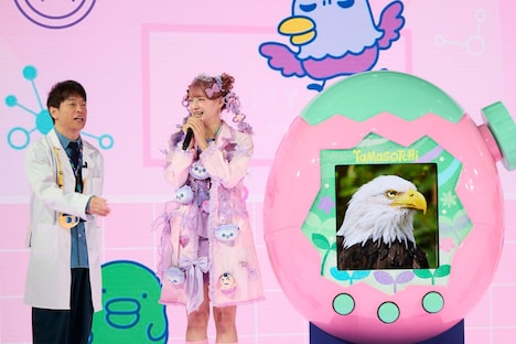 鳥のワシの画像にも「ワシやないかい！」とツッコむ陣内智則