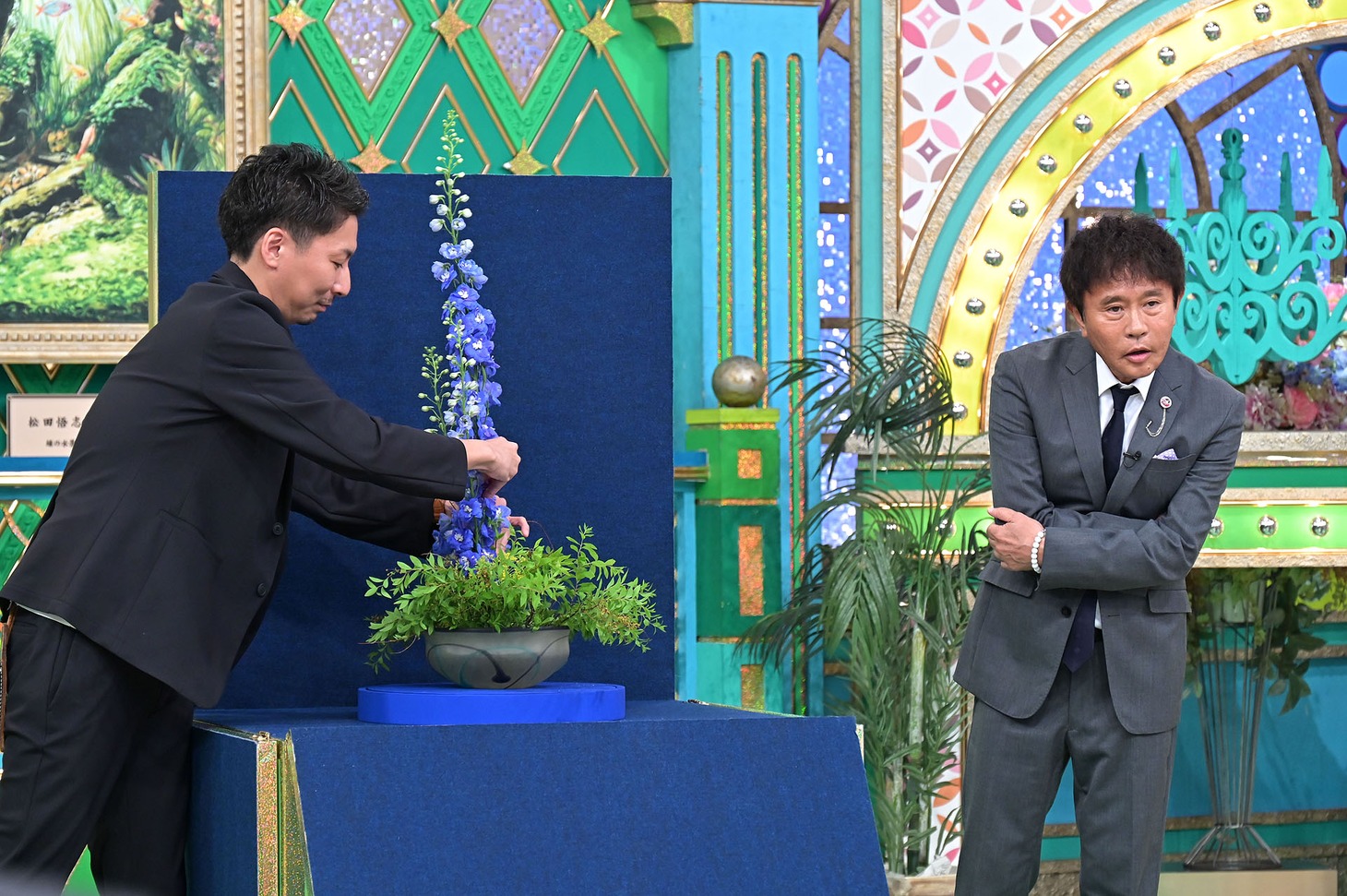 「プレバト!!」5月29日放送回より