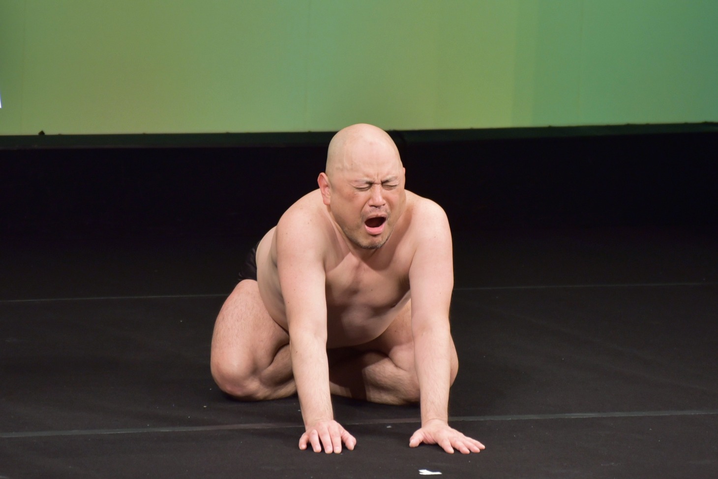 ハリウッドザコシショウ