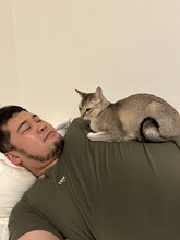 令和ロマン・松井ケムリと愛猫