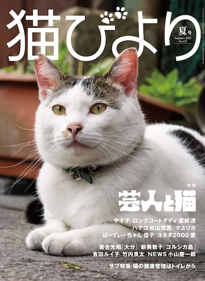「猫びより」2025年夏号の表紙