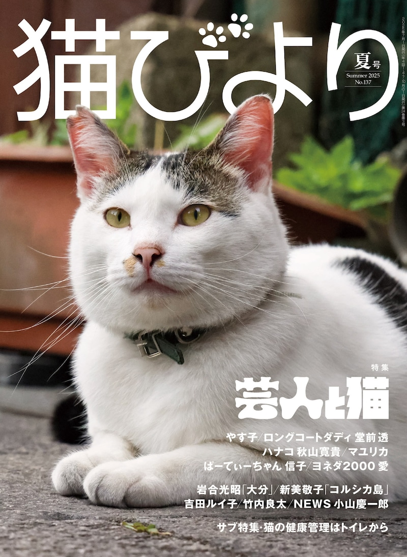 「猫びより」2025年夏号の表紙