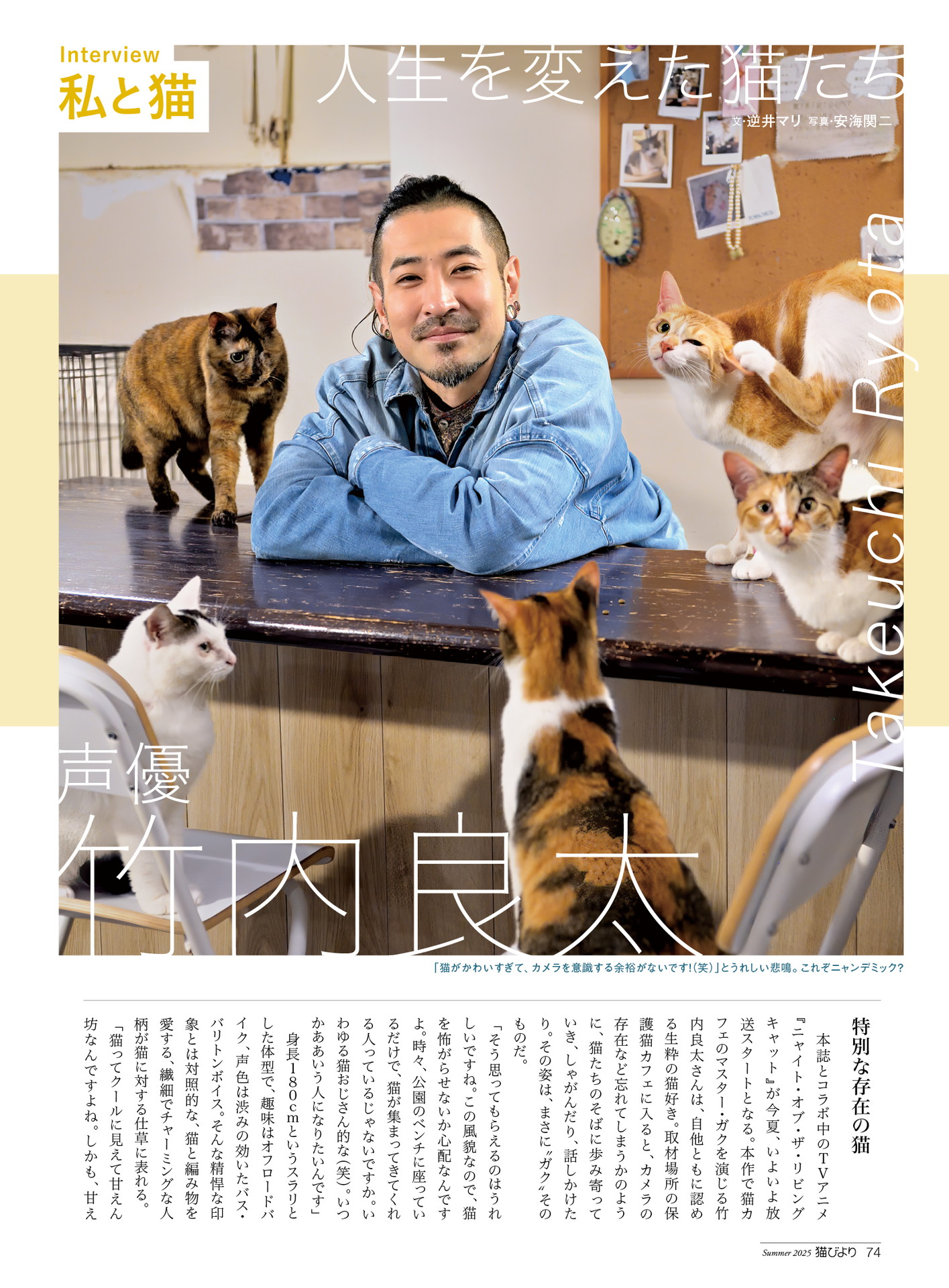 やす子、ロコディ堂前、ハナコ秋山、信子、マユリカ阪本、ヨネダ2000愛　みんな猫が大好き