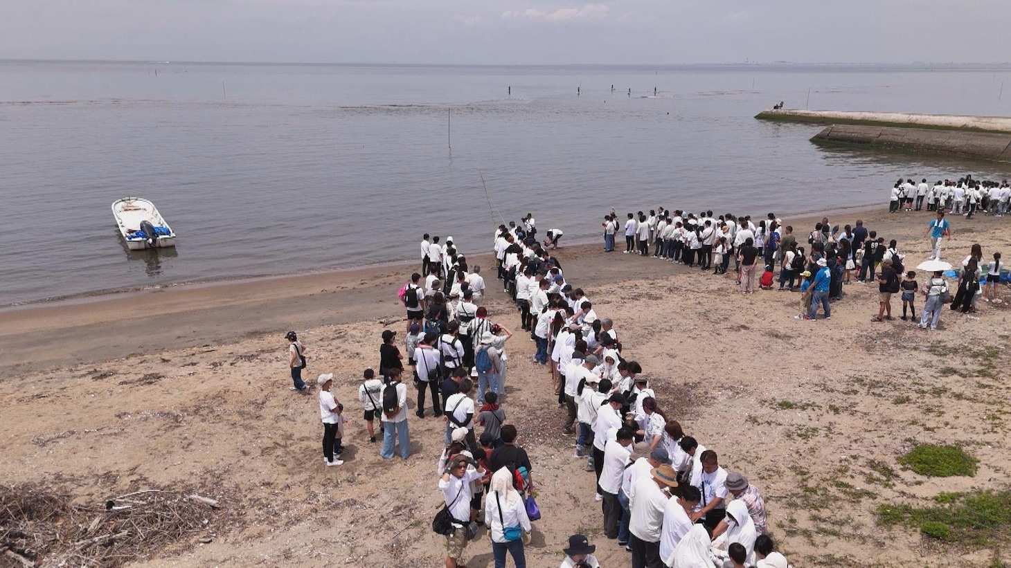 魅力的な魚が欲しいという水族館のために集まる500人