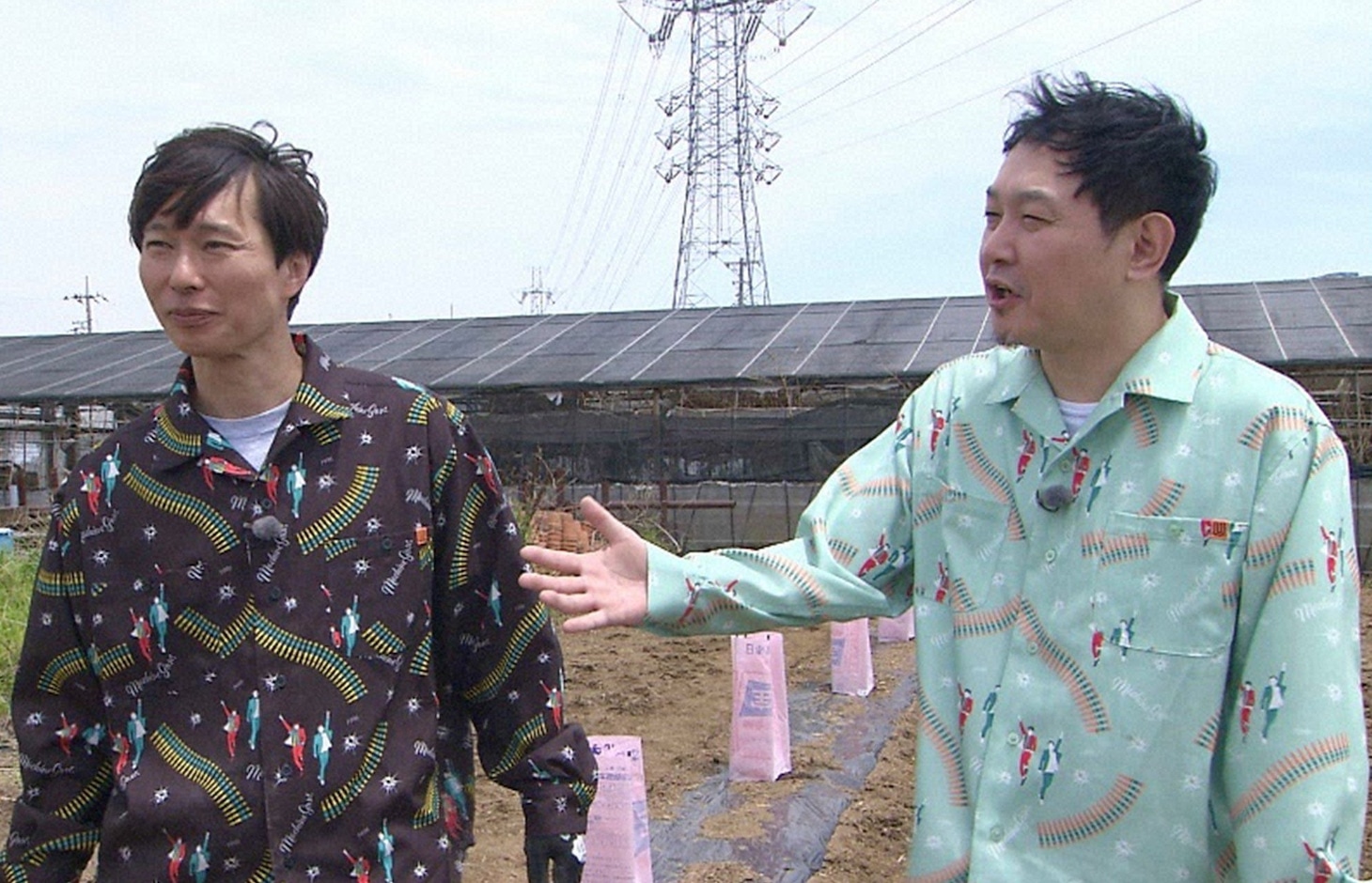 「有吉園芸」でかぼちゃの状態を確認する、園芸員のマシンガンズ