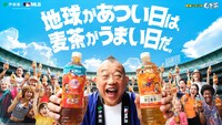 「健康ミネラルむぎ茶 MLB30球団スペシャルエディションボトル」キービジュアル
