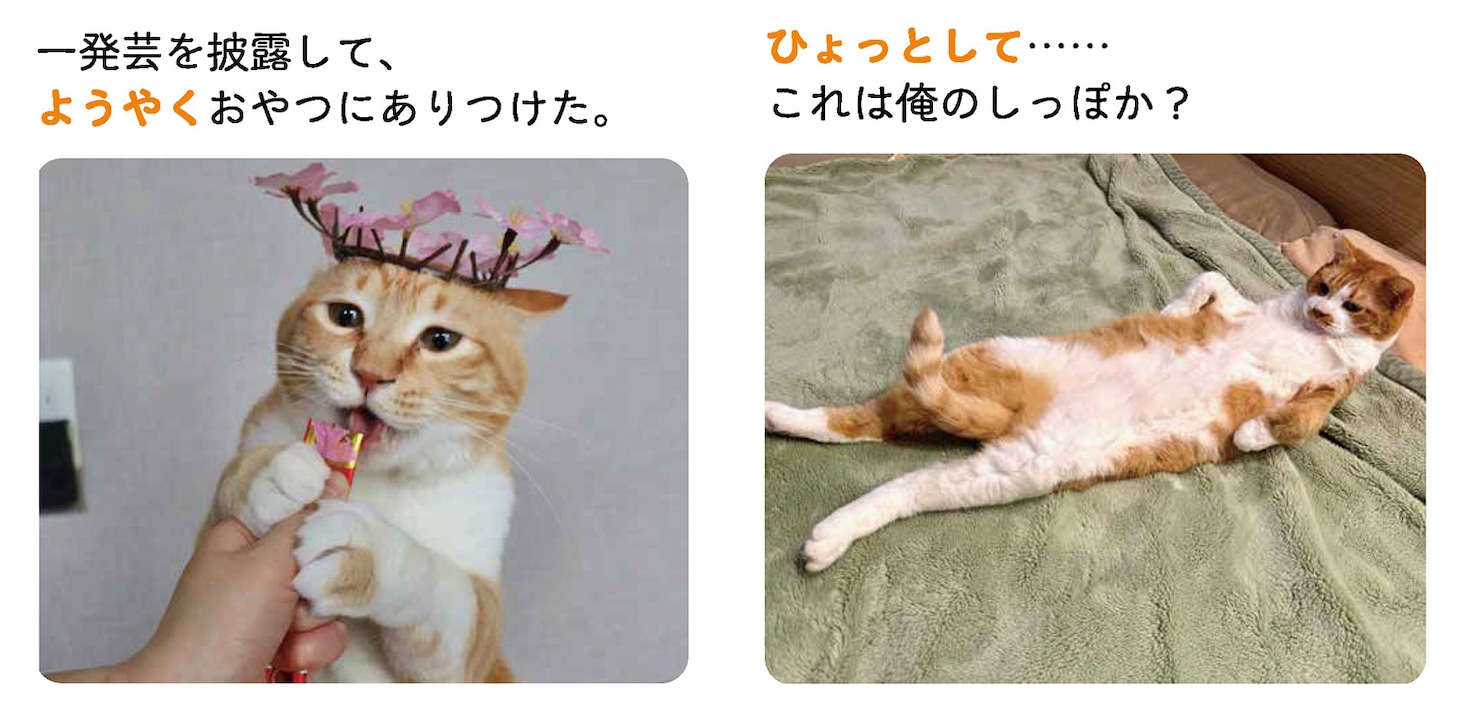 「にゃるほど！コミュ力UP語彙辞典」より