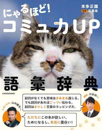 「にゃるほど！コミュ力UP語彙辞典」表紙