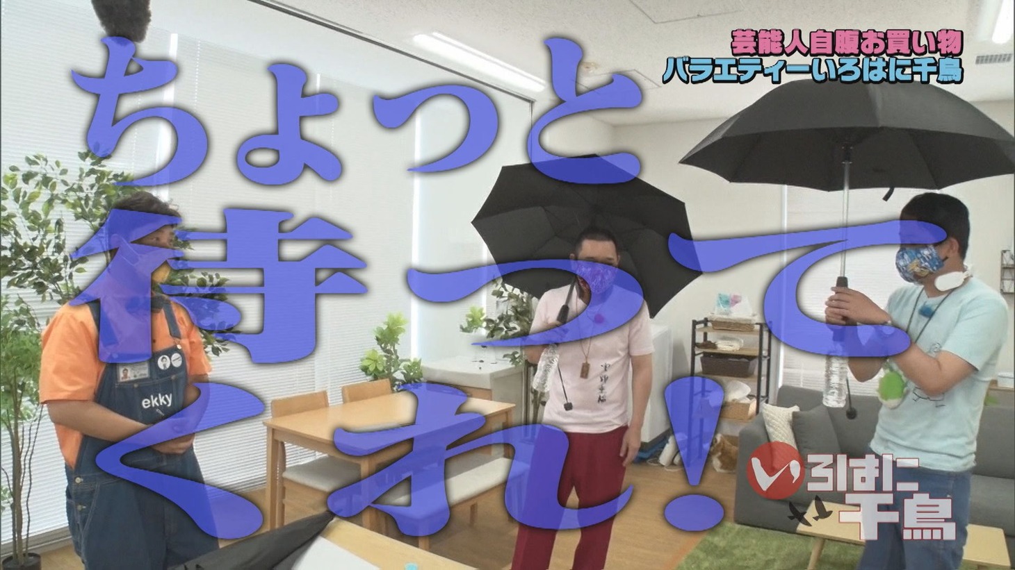 DVD「いろはに千鳥（ル）」より