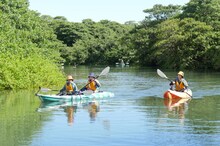 川を進むぱーてぃーちゃん
