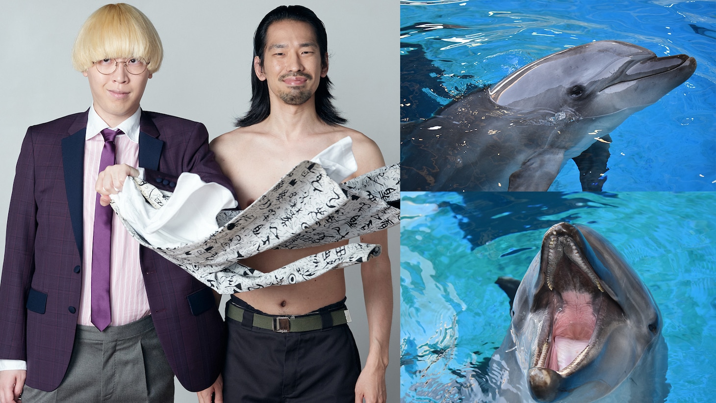 左から、真空ジェシカ、新江ノ島水族館のバンドウイルカ