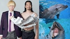 「真空ジェシカVSイルカ」実現 新江ノ島水族館で漫才とイルカショーを交互に披露