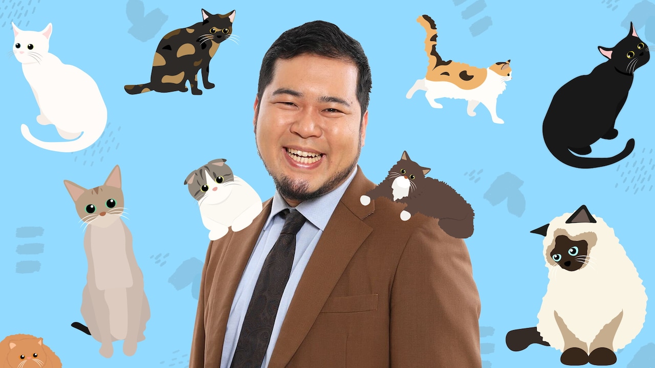 猫に囲まれて生配信する令和ロマン・松井ケムリ
