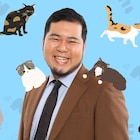松井ケムリ、猫に囲まれ生配信