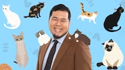 猫に囲まれて生配信する令和ロマン・松井ケムリ