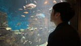 水槽を眺める男性ブランコ平井