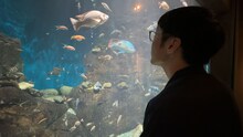 水槽を眺める男性ブランコ平井