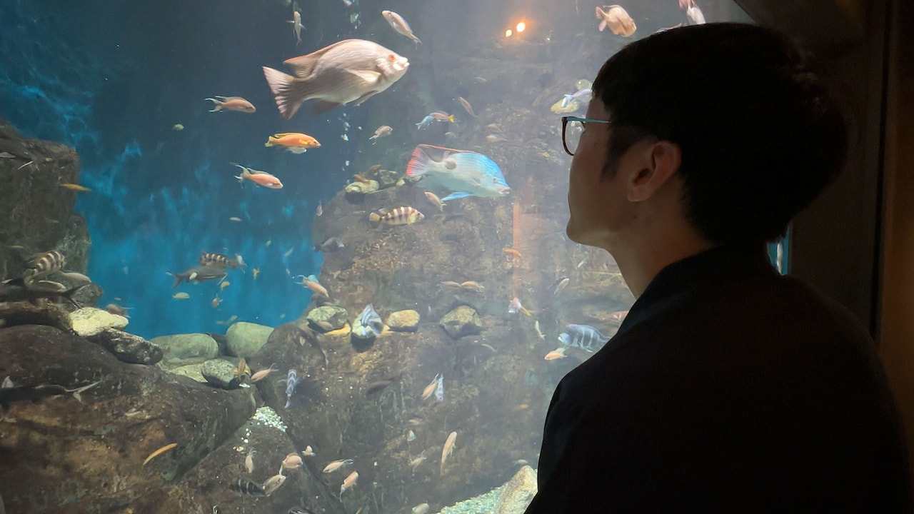 水槽を眺める男性ブランコ平井