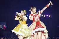 超ときめき♡ラヴィット！宣伝部のパフォーマンス