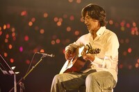 ヒヤシンスのパフォーマンス