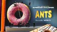「ANTS～ぜんぶ運べば一獲千金～」ビジュアル