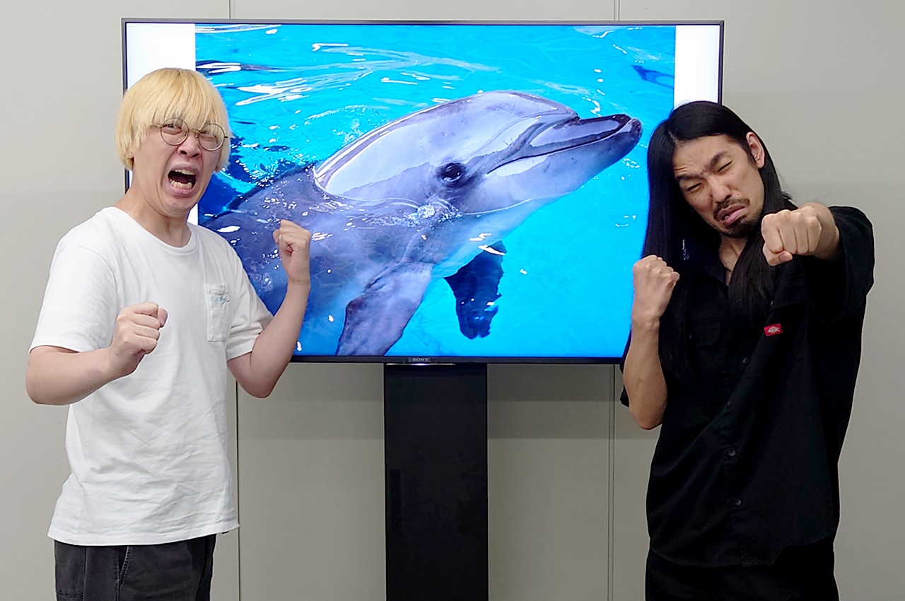 真空ジェシカと、新江ノ島水族館のバンドウイルカ