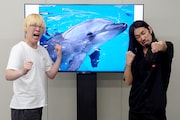 真空ジェシカと、新江ノ島水族館のバンドウイルカ
