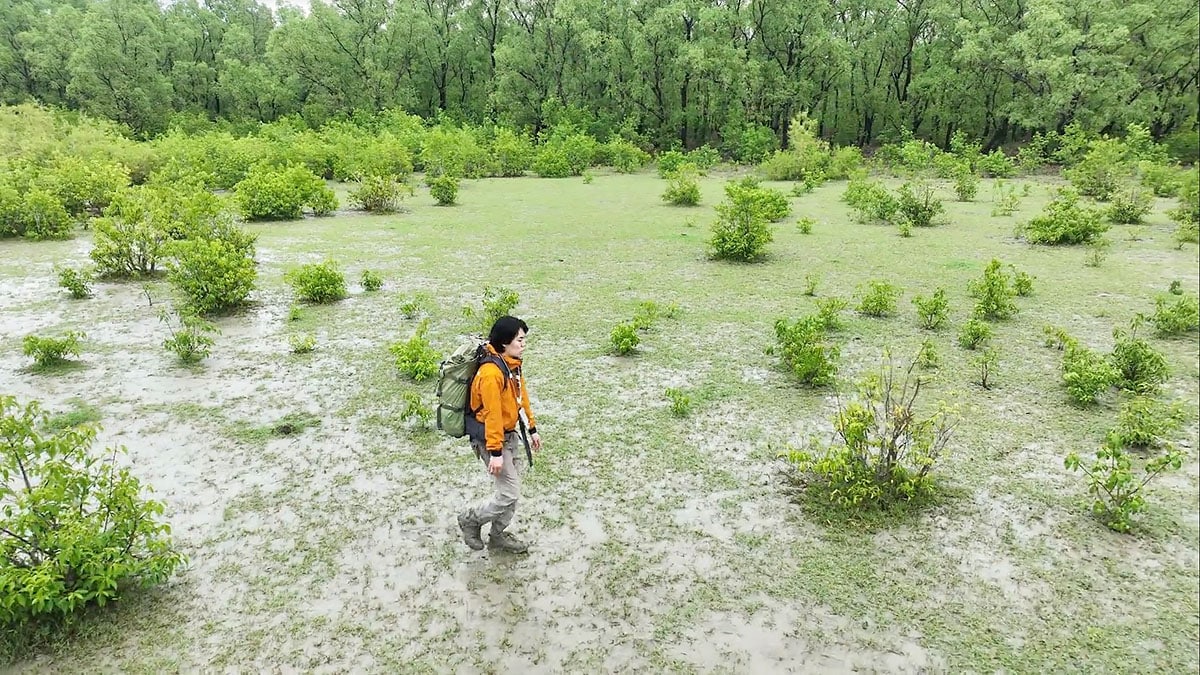 「M-1しかできなかった」「ほかの能力はゼロ」令和ロマンくるま、不安げに沼地を進む