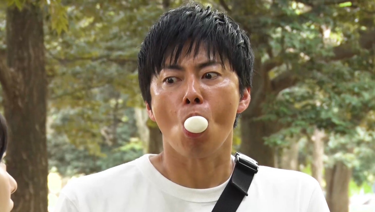 コットン西村