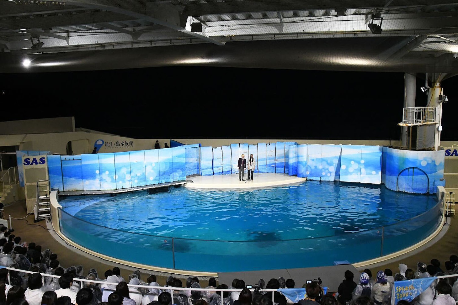 「真空ジェシカ VS イルカ in 新江ノ島水族館」の様子