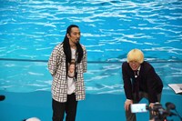 イルカに大敗した真空ジェシカ