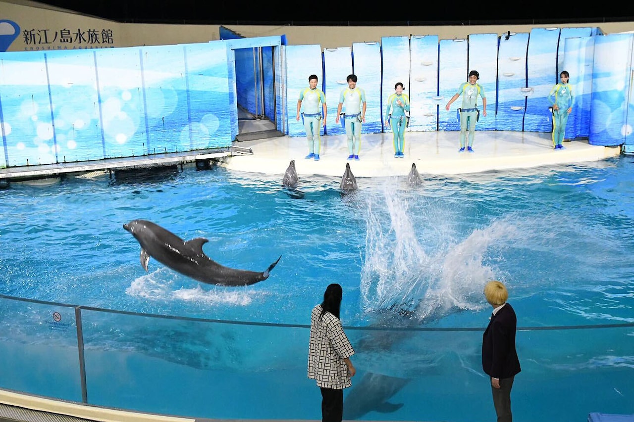 イルカに水をかけられる真空ジェシカ