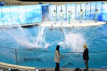 イルカに水をかけられる真空ジェシカ