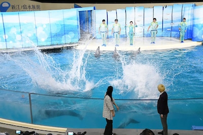 イルカに水をかけられる真空ジェシカ