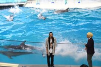 イルカに水をかけられる真空ジェシカ