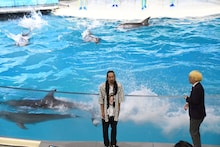 イルカに水をかけられる真空ジェシカ