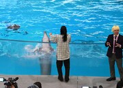 イルカとコミュニケーションが取れる相方・川北に驚く真空ジェシカ・ガク