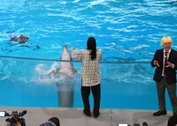 イルカとコミュニケーションを取っている川北に驚く真空ジェシカ・ガク