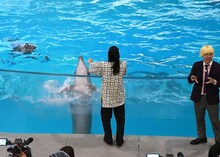 イルカとコミュニケーションが取れる相方・川北に驚く真空ジェシカ・ガク