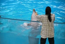 イルカとコミュニケーションを取る真空ジェシカ川北