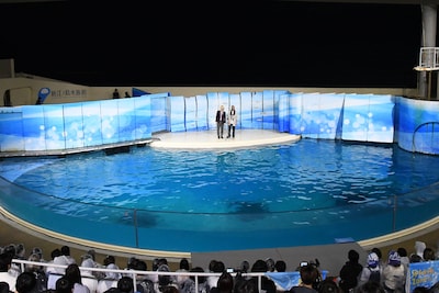 真空ジェシカいわく、「すごく漫才しやすいステージ」。濡れているが滑らないそう。川北「普段いいところで（イルカたちが）漫才やってるんだなって感じです」