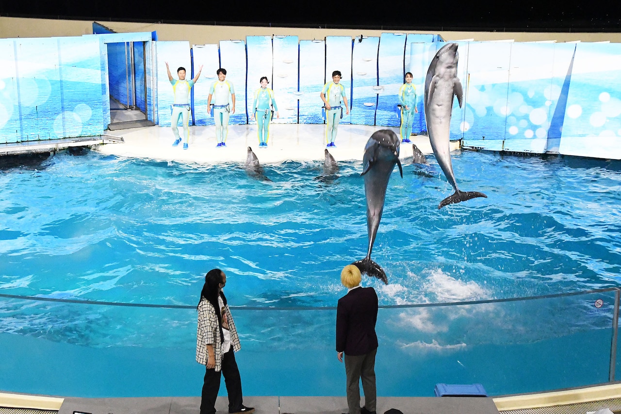 「真空ジェシカVSイルカ」アーカイブ配信スタート