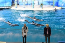 イルカ水をかけられる真空ジェシカ