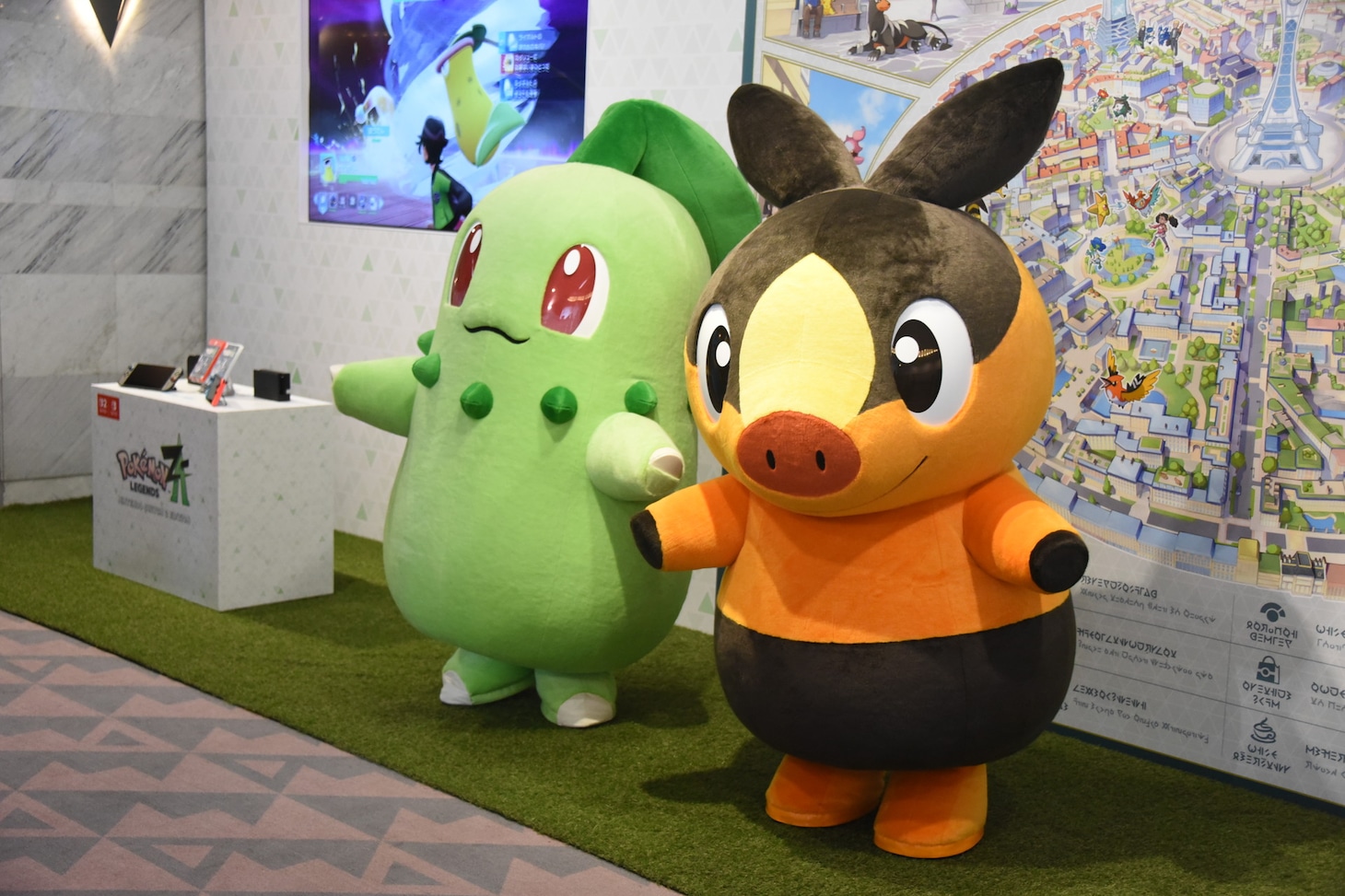 所定の位置に到着した（右から）チコリータ、ポカブ