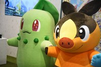 右からチコリータ、ポカブ