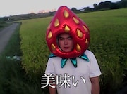 鈴木ジェロニモ参加楽曲「いちご味味」配信リリース、“フェイク論”語るポッドキャスト出演