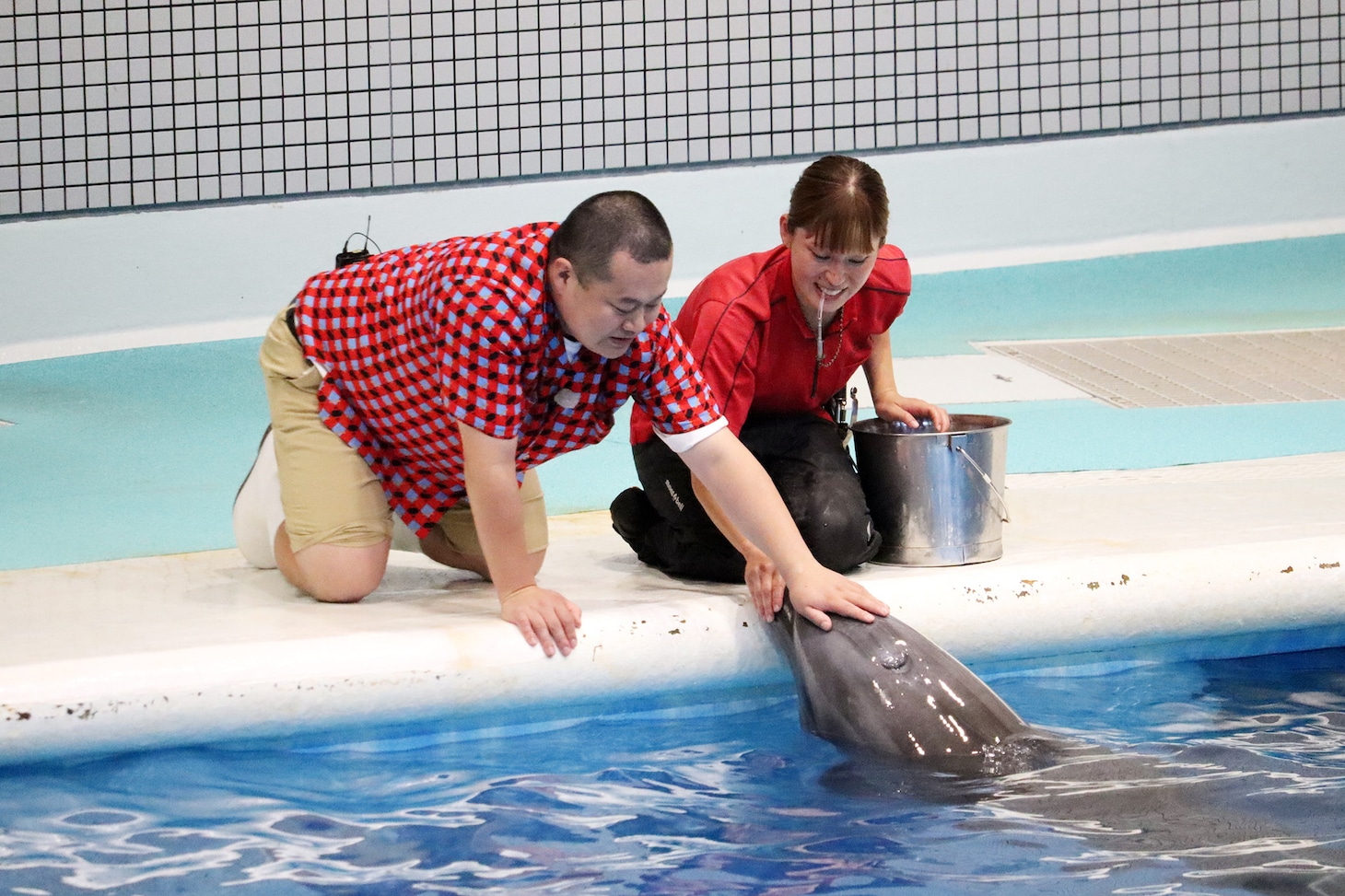 「深掘りモグライダー 笑ってととのう⁉ “弾丸”かごしま発見の旅」のワンシーン