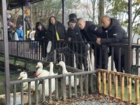 金属バットを“北海道色”に染め上げろ、みちお閻魔も登場「道産人間オズブラウン」