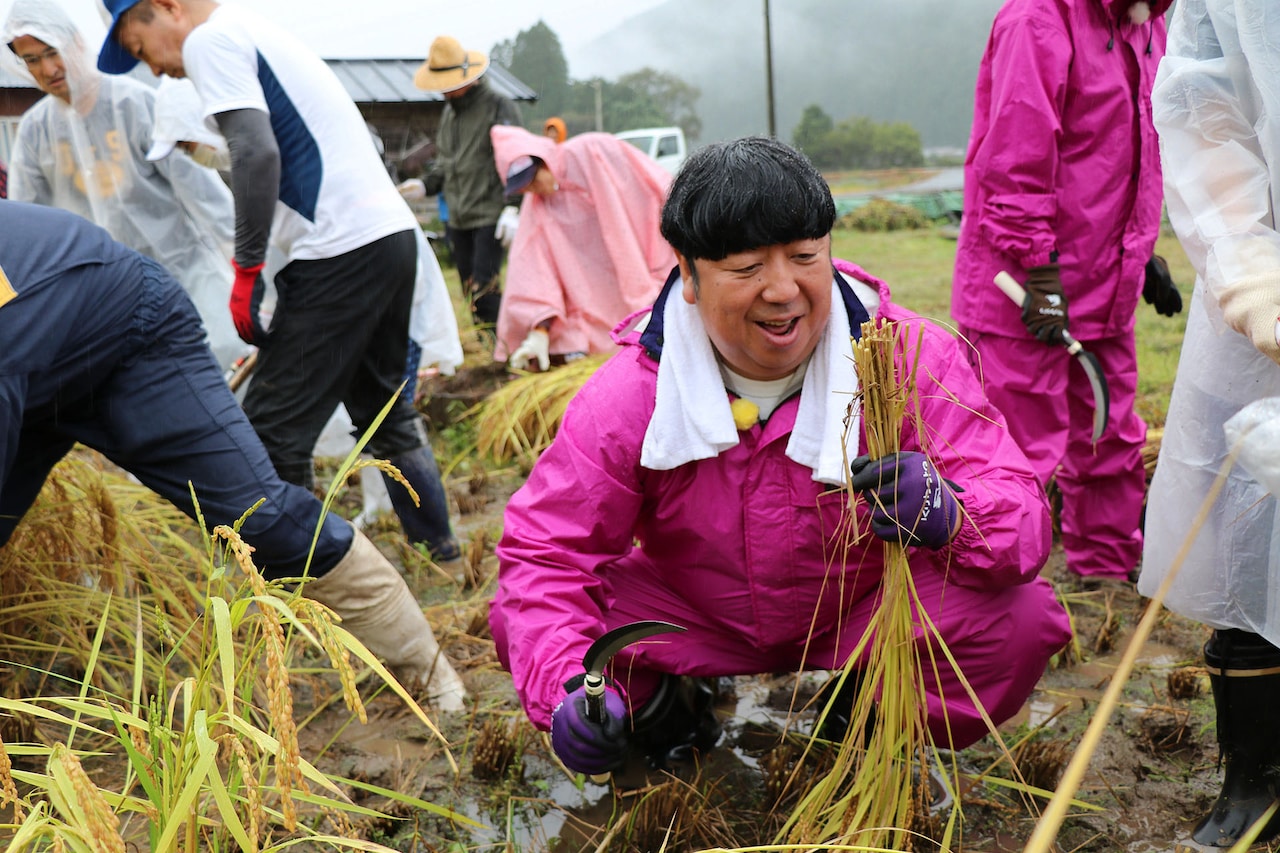 バナナマン日村が岐阜県郡上市和良町の稲刈りイベントをお手伝い、ナレーションは伊藤英明