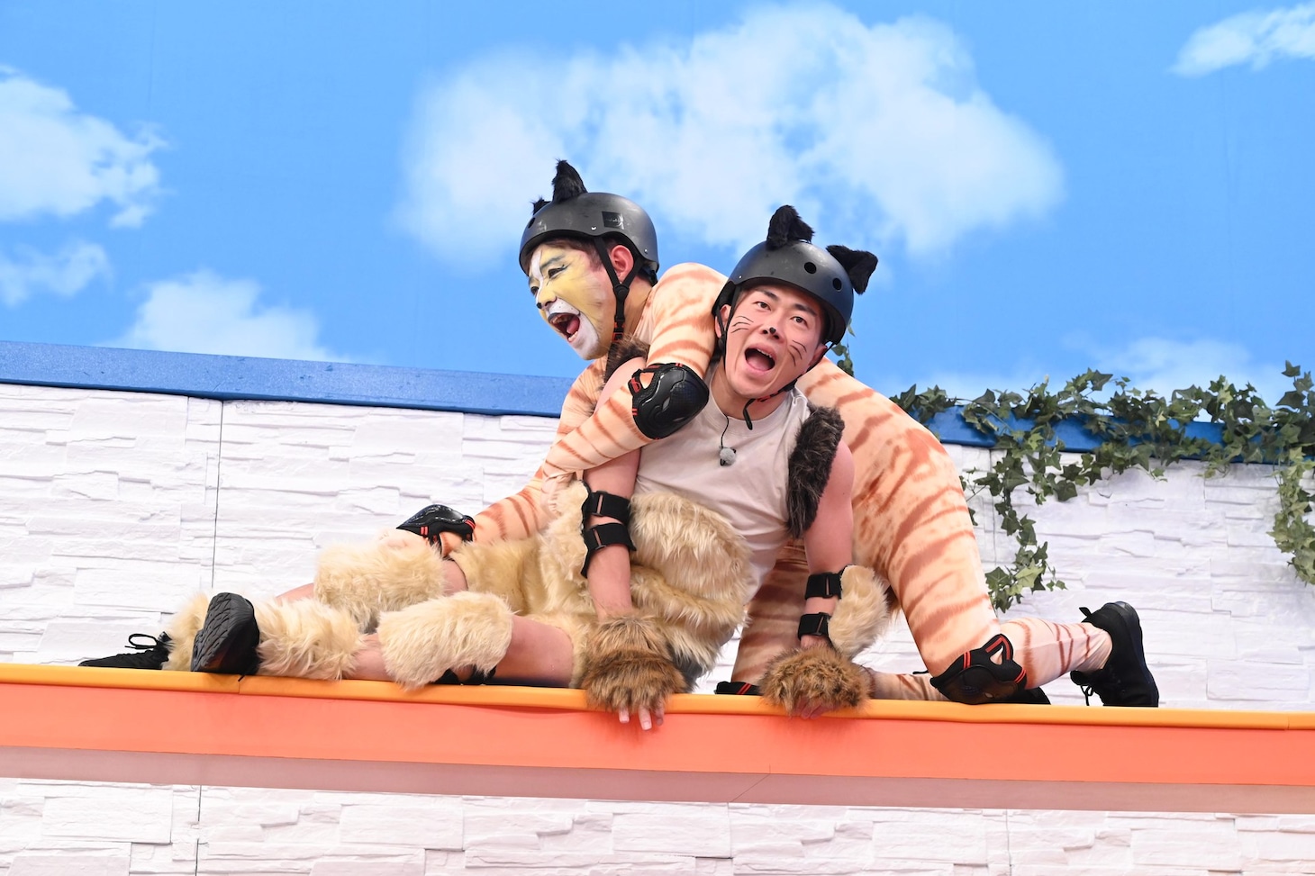 ジャンポケ太田らネコになってネコ競技に挑戦　“元人間”アルピーが見守る